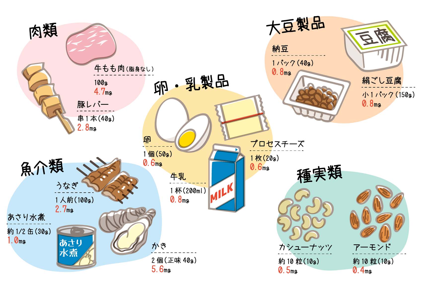 亜鉛を含む食品。以下の5つのカテゴリーに分けて、食品とその鉄分含有量が記載されている。
            ・肉類: 牛もも肉 脂身なし（100gあたり4.7mg）、豚レバー（串1本40gあたり2.8mg）
            ・魚介類: うなぎ（1人前100gあたり2.7mg）、あさり水煮（約1/2缶30gあたり1.0mg）、かき（2個正味40gあたり5.6mg）
            ・卵・乳製品: 卵（1個50gあたり0.6mg）、牛乳（1杯200mlあたり0.8mg）、プロセスチーズ（1枚20gあたり0.6mg）
            ・大豆製品: 納豆（1パック40gあたり0.8mg）、絹ごし豆腐（小1パック150gあたり0.8mg）
            ・種実類: カシューナッツ（約10粒10gあたり0.5mg）、アーモンド（約10粒10gあたり0.4mg）