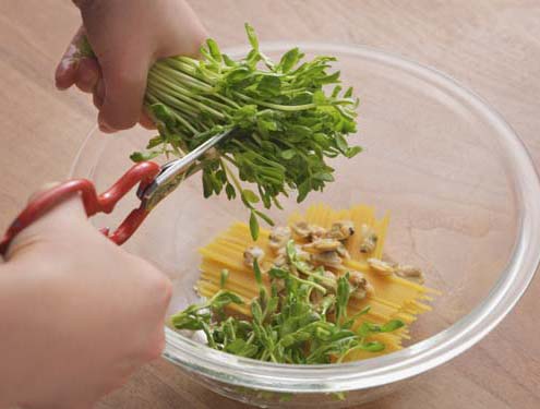 レンジで　豆苗とあさりのペペロンチーノ_作り方1